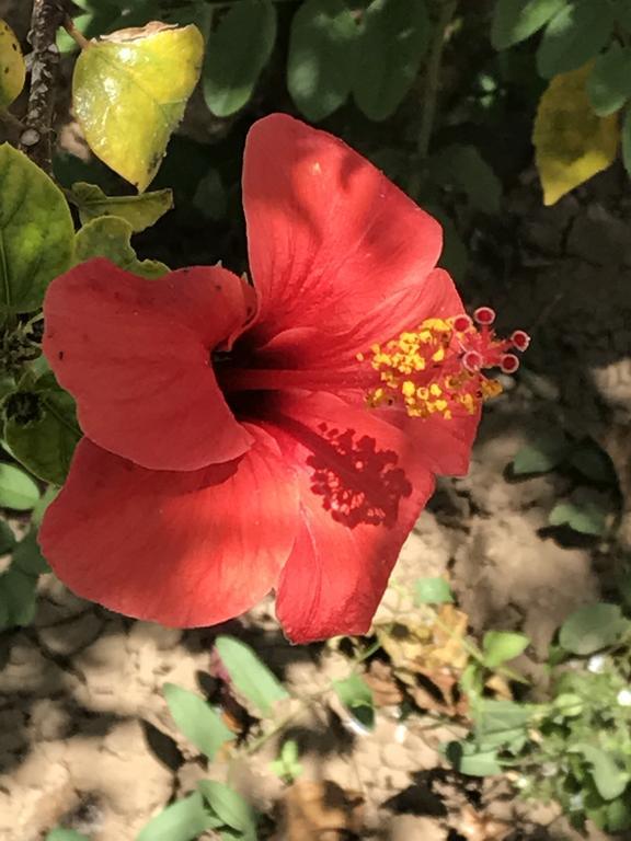 B&B Garzia Marinella  Luaran gambar